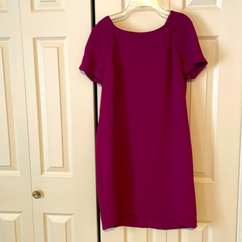 Deep Fuchsia dress, necessary objects, size M